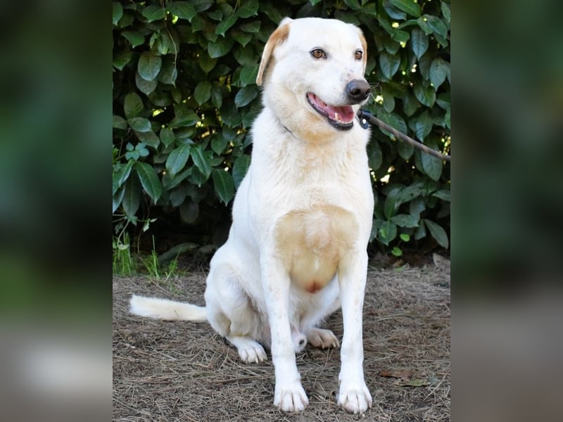 Ghemon - Der sanfte Träumer im Canile