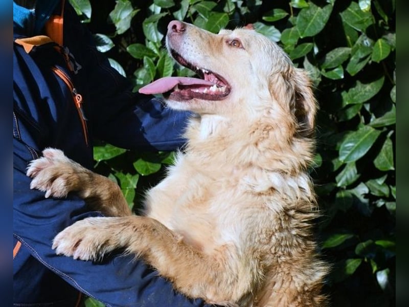 Rodman - läuft sich die Seele wund Rodman - läuft sich die Seele wund