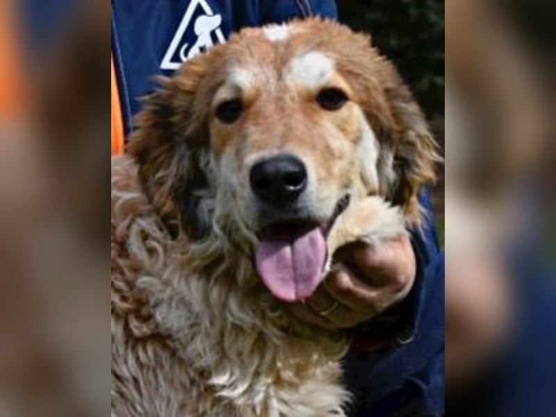 Ligorio und seine Geschwister sind gewachsen