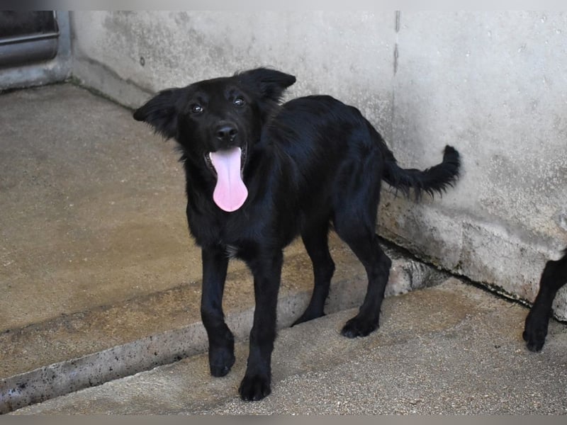 Nerelina - Das Märchen von den fünf Schwestern