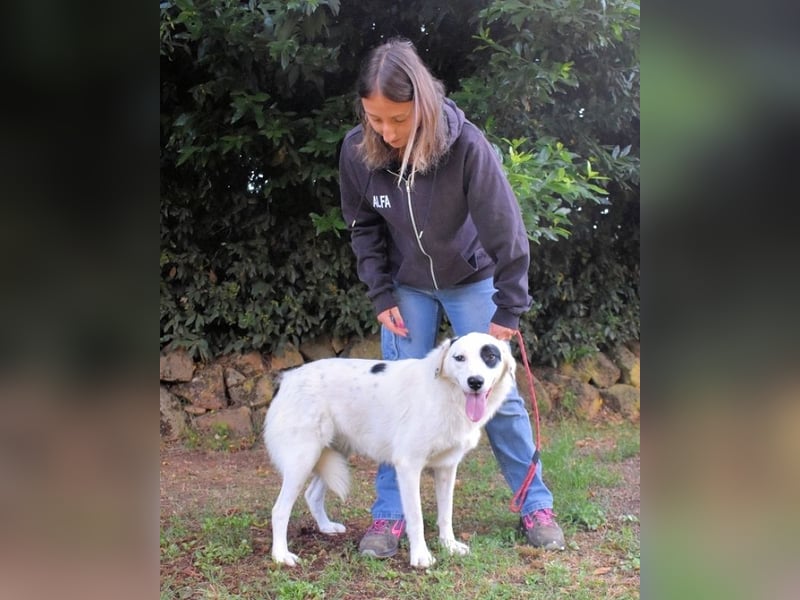 Pattie - Pattie im Vergessen