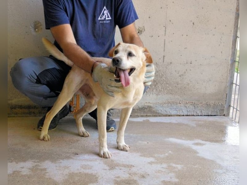 Jimmy - SOS - muss erstmal durchatmen