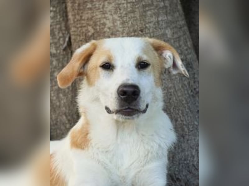 Wafer - Die leise Hoffnung, dass etwas Besseres kommt