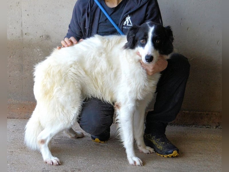 Ghazala - Noch ein bisschen scheu, aber voller Neugier aufs Leben
