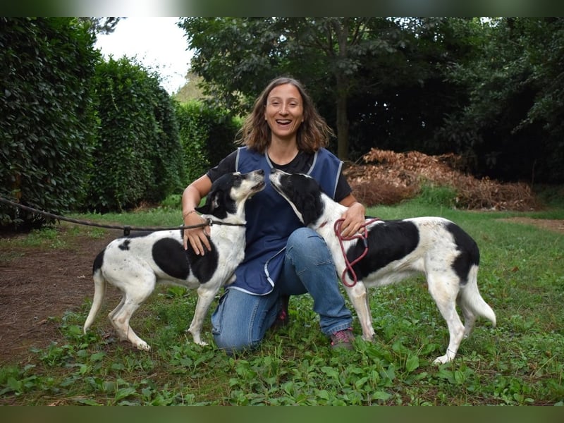 Ericka - NOTFALL - Wie viele Leben brauchst du?