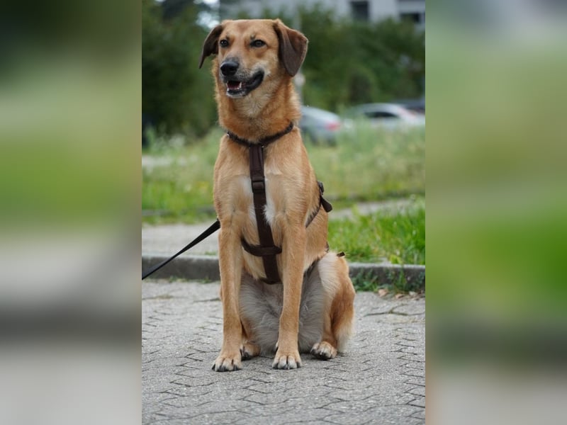 Rihanna - Es hat ihr nichts genützt