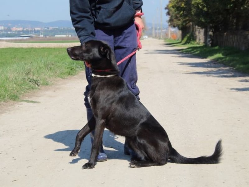 Clodette - Persönlichkeit sucht Führungsqualität!