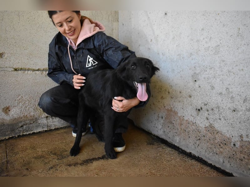 Nerelina - Das Märchen von den fünf Schwestern