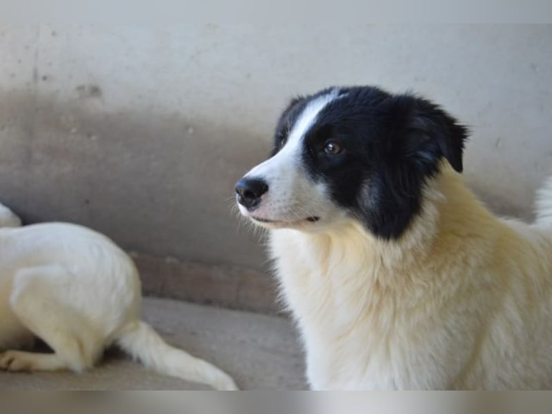 Ghazala - Noch ein bisschen scheu, aber voller Neugier aufs Leben