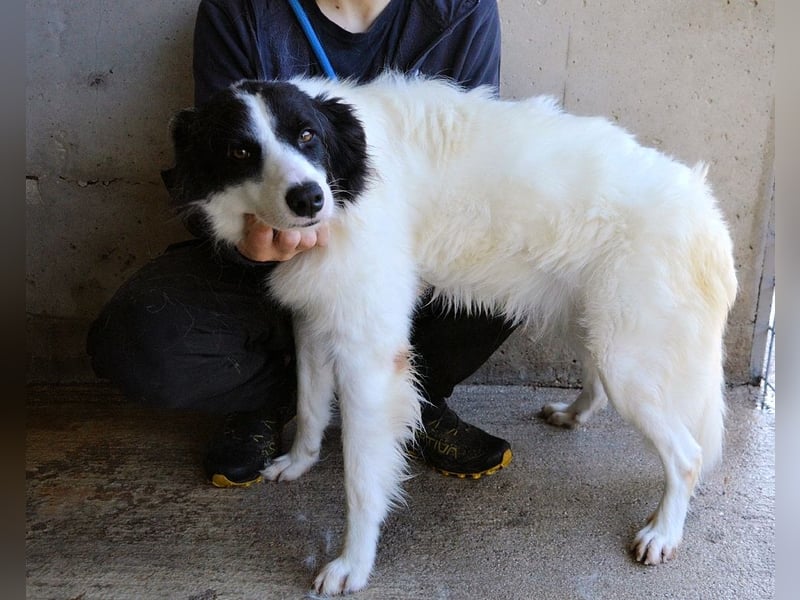 Ghazala - Noch ein bisschen scheu, aber voller Neugier aufs Leben