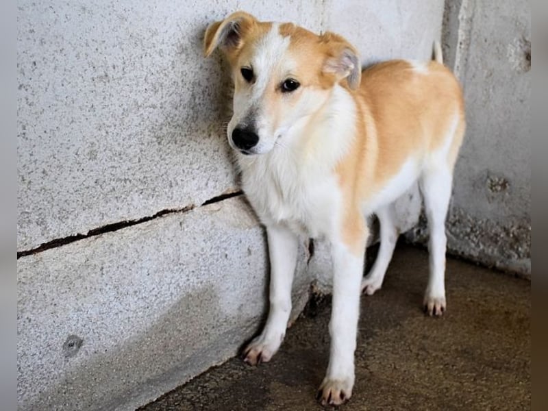 Liuba - sucht ihren Platz im Leben Liuba - sucht ihren Platz im Leben