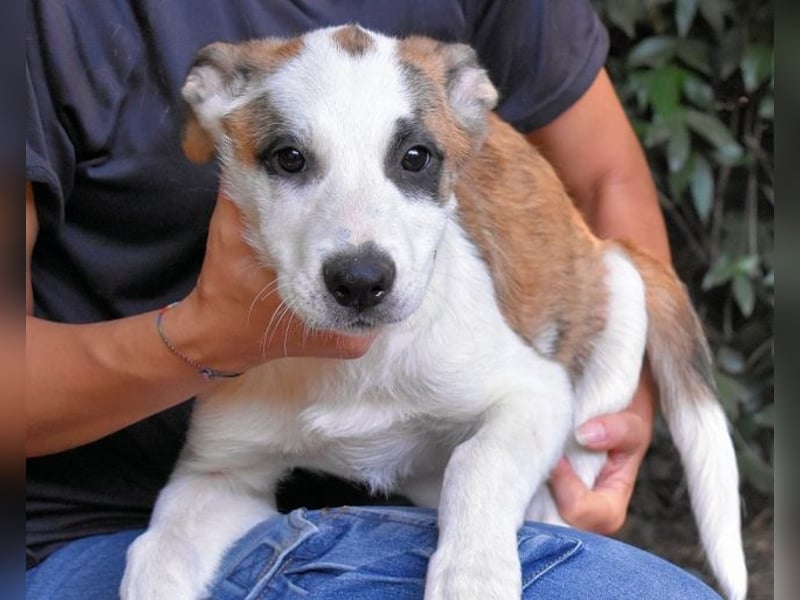 Milde - Ein Flüstern, das sagt: "Du bist sicher."