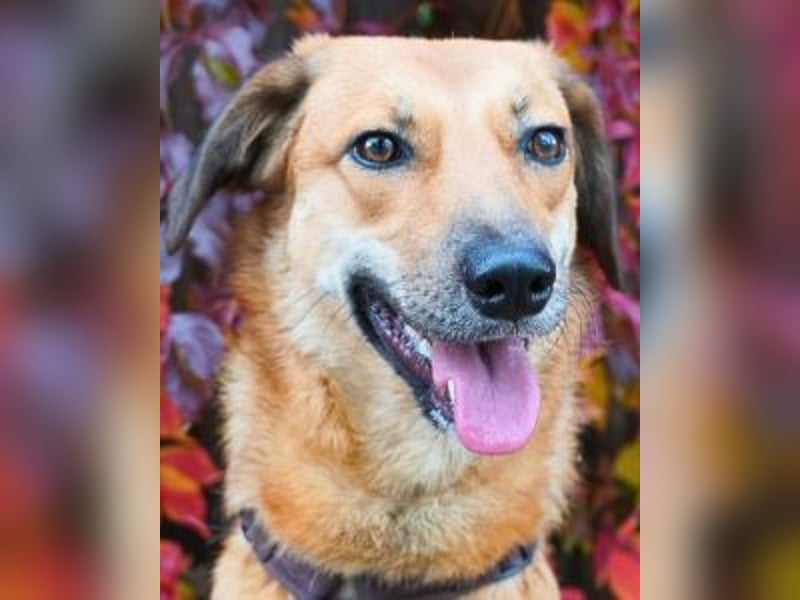 Rihanna - Es hat ihr nichts genützt