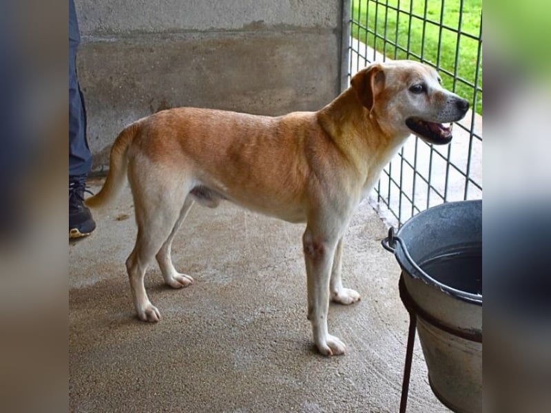 Jimmy - SOS - muss erstmal durchatmen