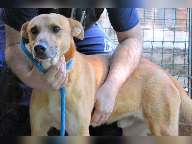 Zaccheo - ist im besten Alter