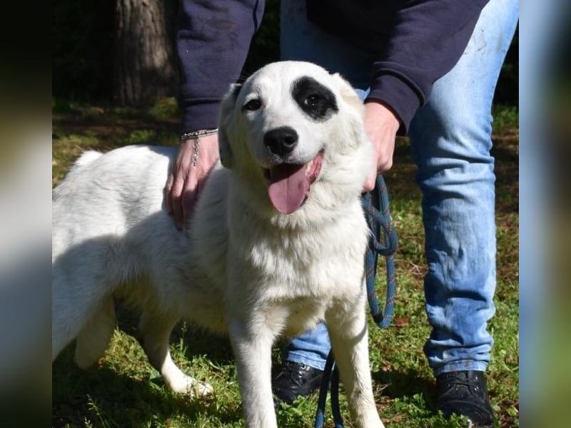 Pattie - Pattie im Vergessen