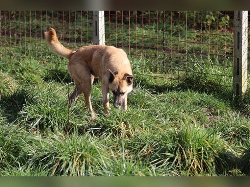 Life - Life will mehr vom Leben - und das zeigt er deutlich!
