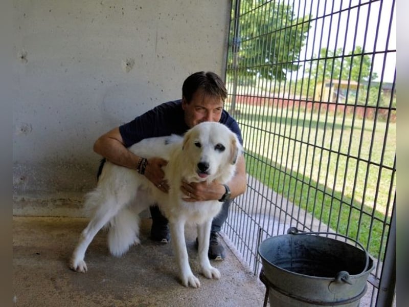 Peeke - Es ist höchste Zeit! Peeke - Es ist höchste Zeit!