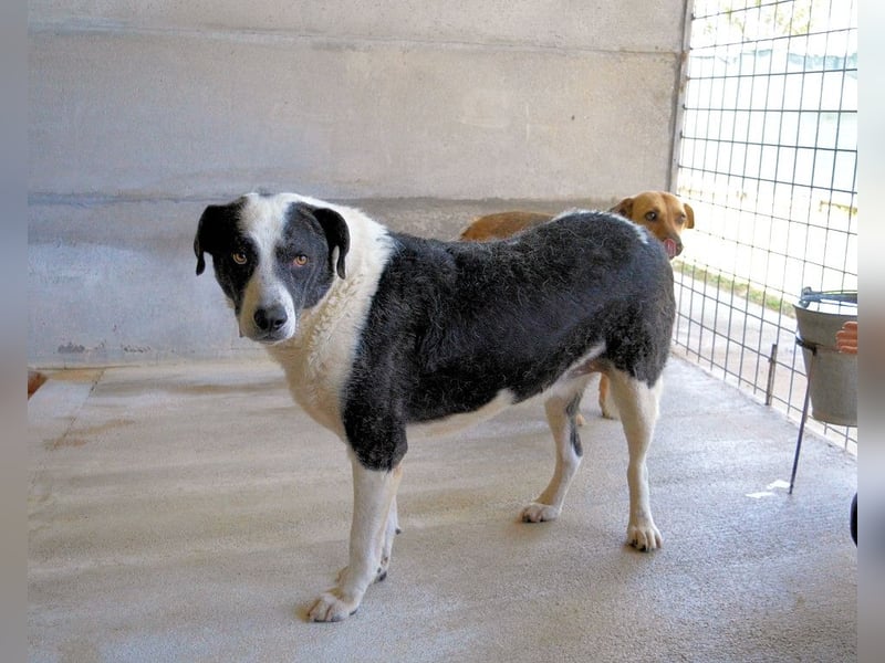 Oldrich - NIE ist einfach zu lang