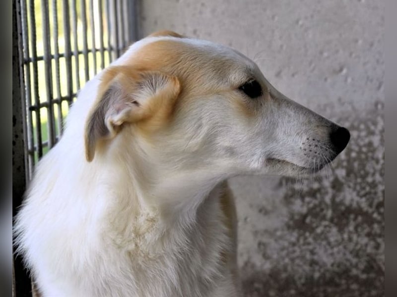 Liuba - sucht ihren Platz im Leben Liuba - sucht ihren Platz im Leben