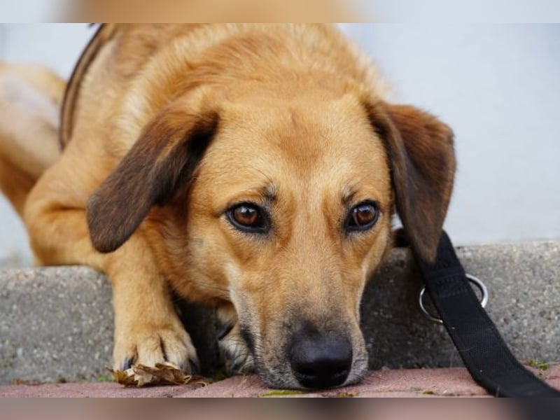 Rihanna - Es hat ihr nichts genützt