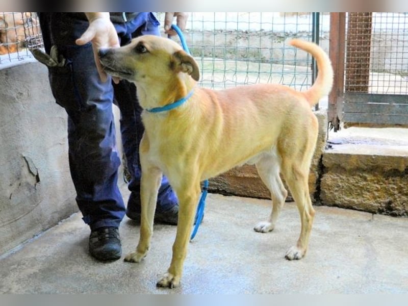 Zaccheo - ist im besten Alter