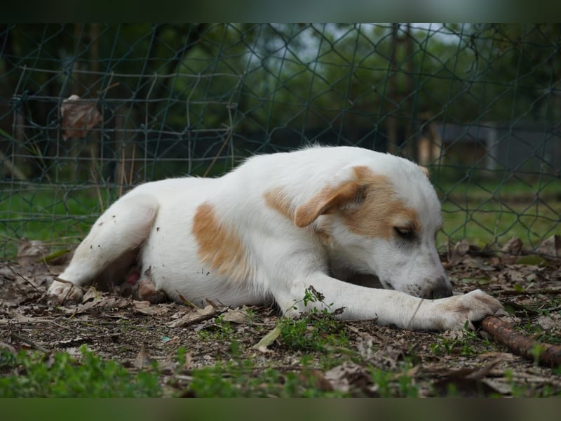 Wafer - Die leise Hoffnung, dass etwas Besseres kommt