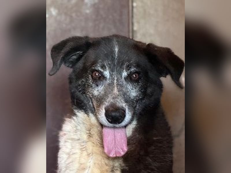 Cambiamento - lasst uns sein Leben verändern