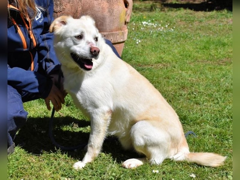 Ulbrecht - Ein kurzer Hauch von Gras