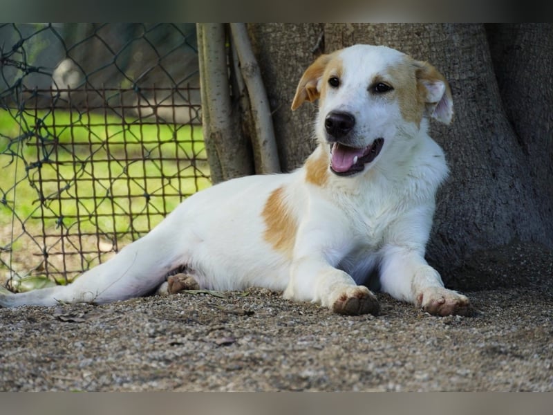 Wafer - Die leise Hoffnung, dass etwas Besseres kommt