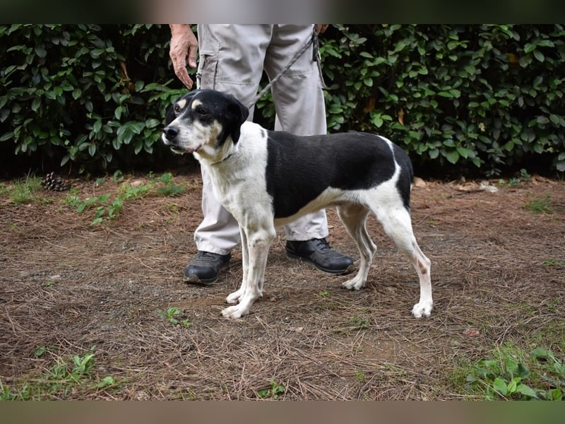 Ericka - NOTFALL - Wie viele Leben brauchst du?