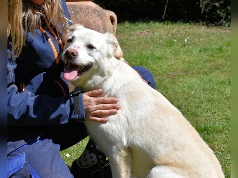 Ulbrecht - Ein kurzer Hauch von Gras