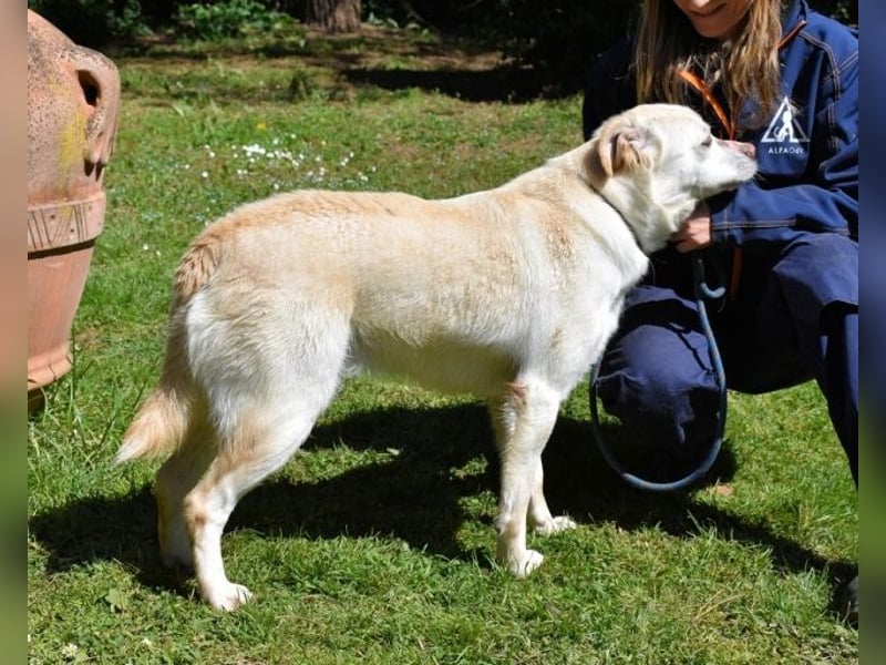 Ulbrecht - Ein kurzer Hauch von Gras