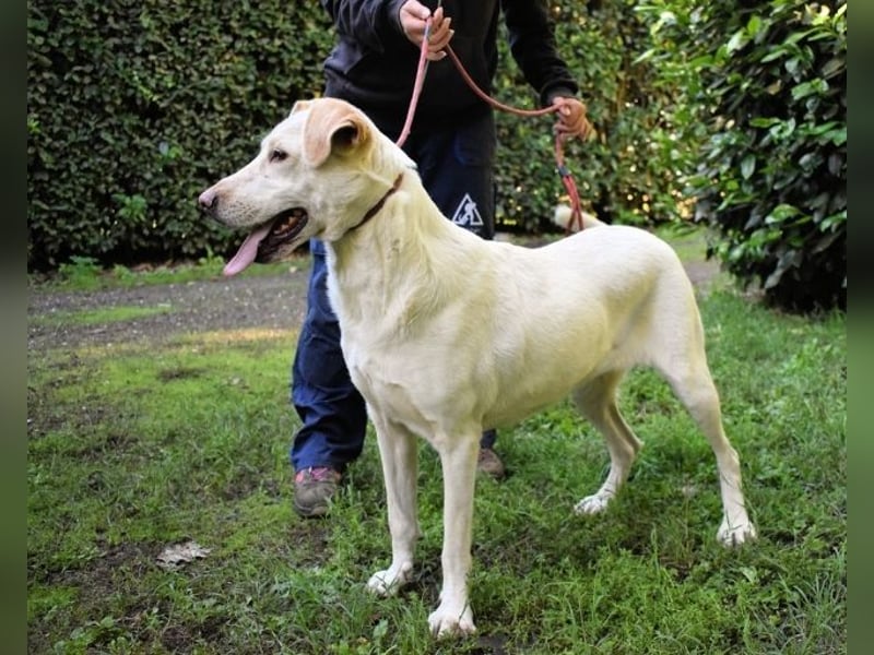 Hadrienne - einmal nur Wärme spüren