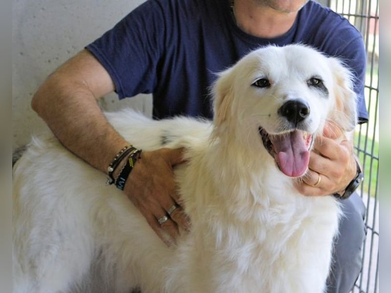 Peeke - Es ist höchste Zeit! Peeke - Es ist höchste Zeit!