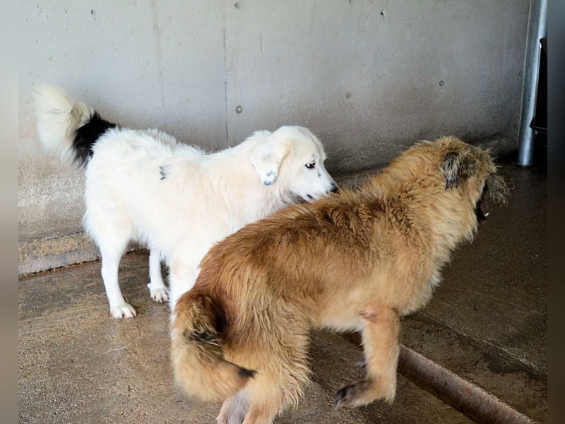 Peeke - Es ist höchste Zeit! Peeke - Es ist höchste Zeit!