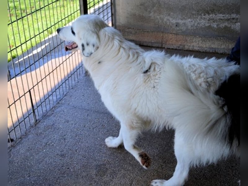 Peeke - Es ist höchste Zeit! Peeke - Es ist höchste Zeit!