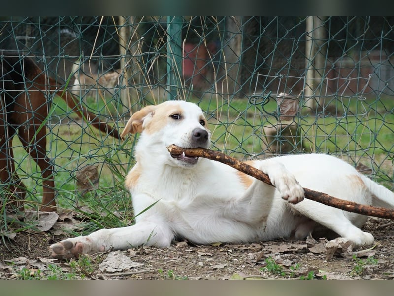 Wafer - Die leise Hoffnung, dass etwas Besseres kommt