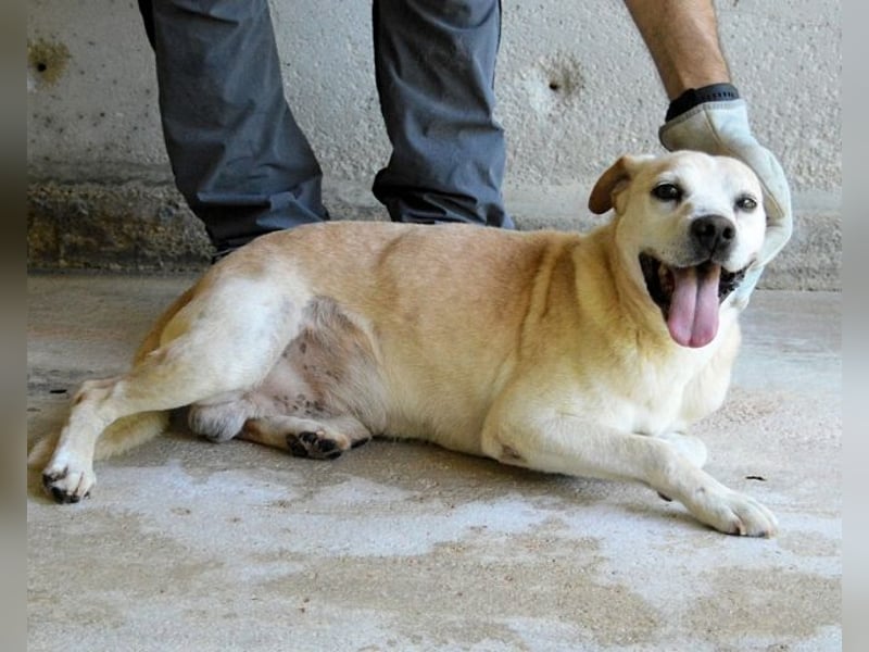 Jimmy - SOS - muss erstmal durchatmen