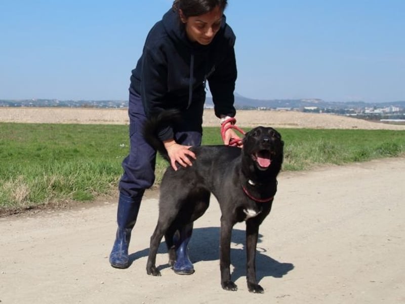 Clodette - Persönlichkeit sucht Führungsqualität!