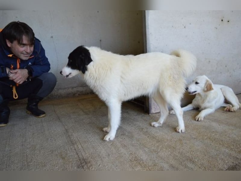 Ghazala - Noch ein bisschen scheu, aber voller Neugier aufs Leben