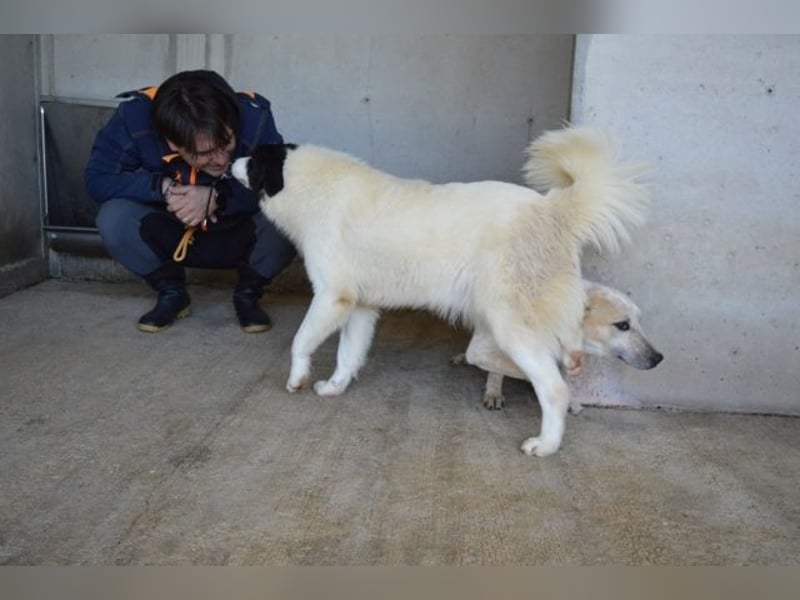 Ghazala - Noch ein bisschen scheu, aber voller Neugier aufs Leben