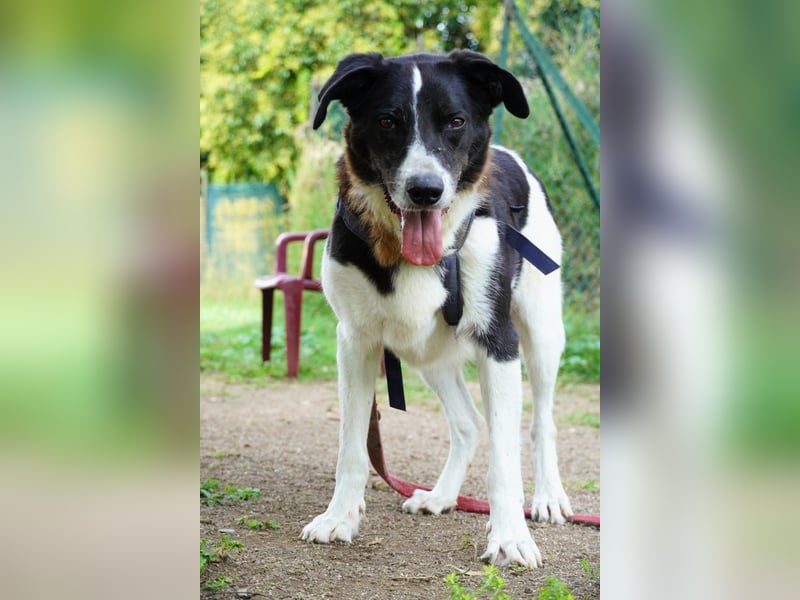 Coraggio - Schritt für Schritt ins Leben zurück