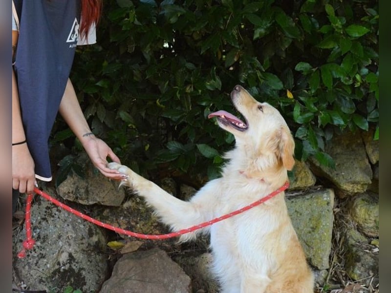 Rodman - läuft sich die Seele wund Rodman - läuft sich die Seele wund