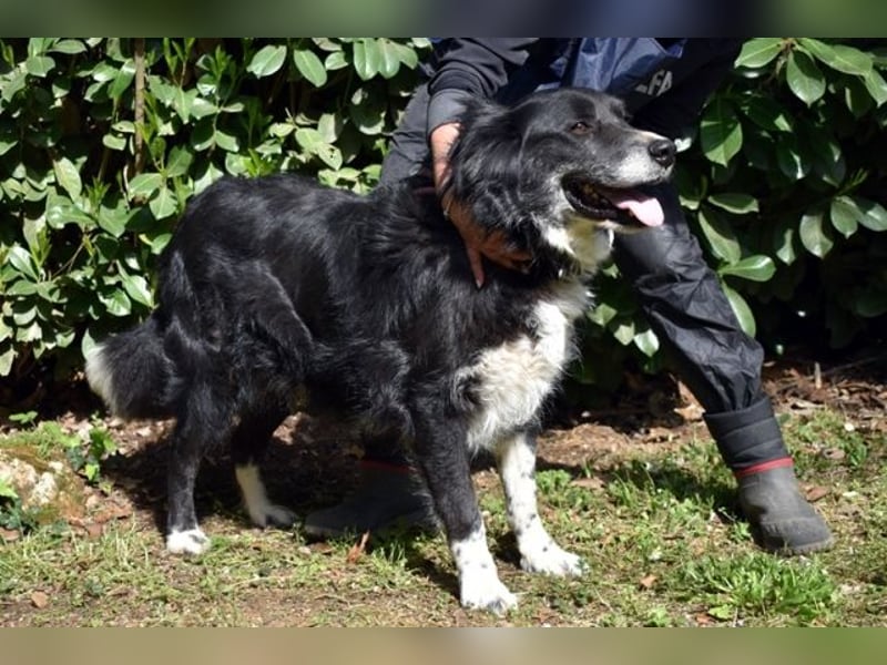 Carmine - Bereit für den Neustart