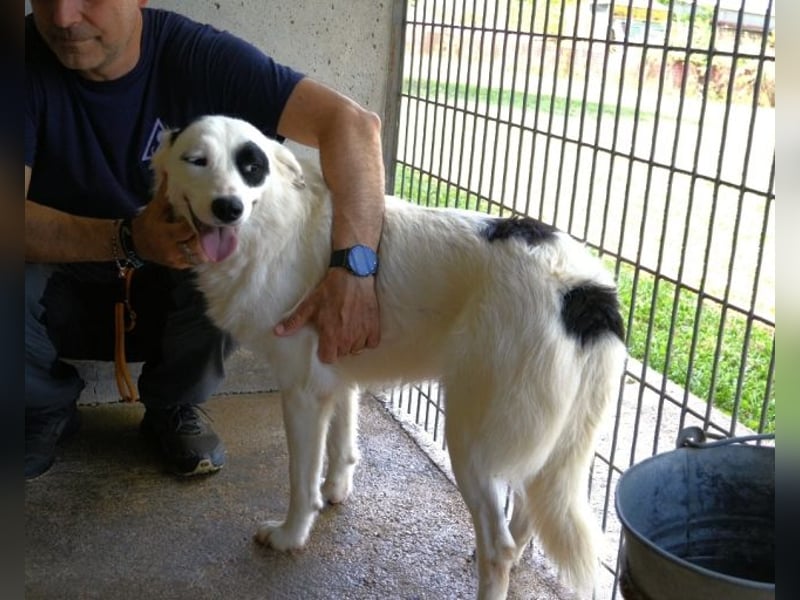 Pattie - Pattie im Vergessen