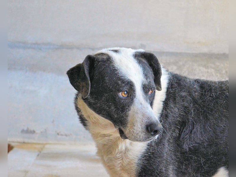 Oldrich - NIE ist einfach zu lang