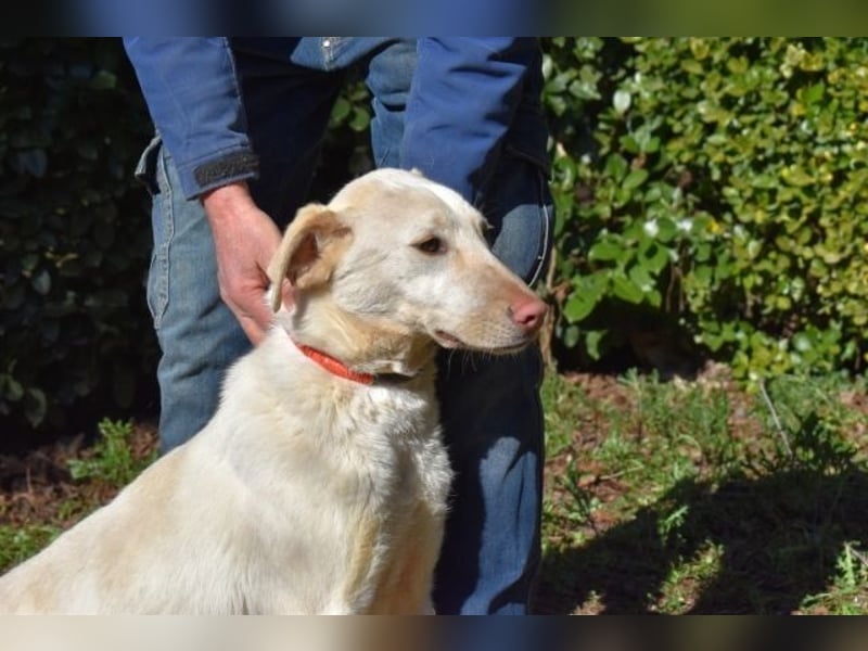 Hadrienne - einmal nur Wärme spüren