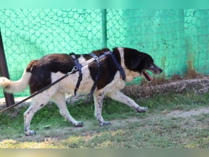Cambiamento - lasst uns sein Leben verändern