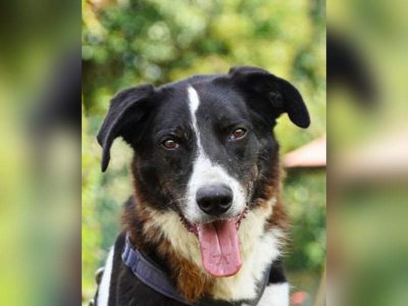 Coraggio - Schritt für Schritt ins Leben zurück